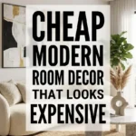Cheap Modern Room Decor That Looks Expensive